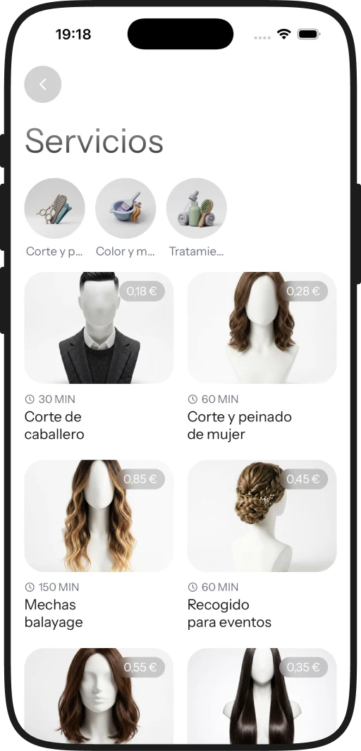 Servicios de una peluquería, por categoría